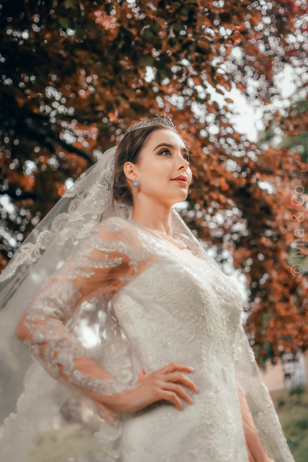 Elizabeth White Bridal Gown - House Of Swavo